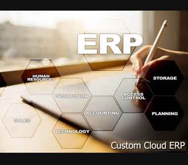 Custom Cloud ERP